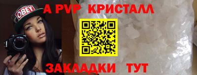 стаф Будённовск