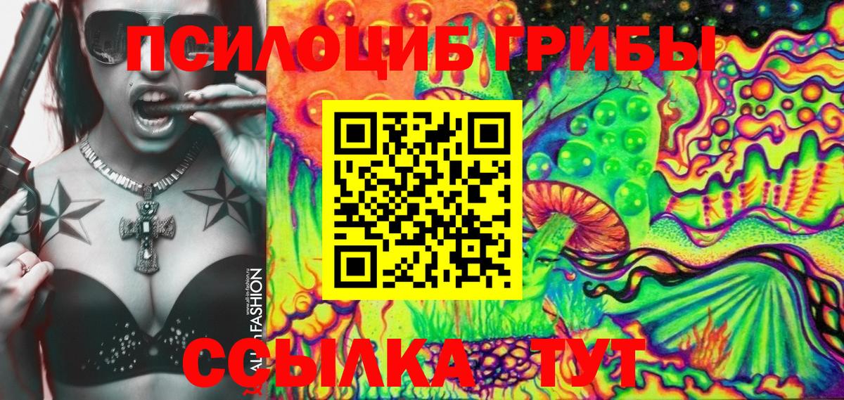 Псилоцибиновые грибы Psilocybe Новороссийск