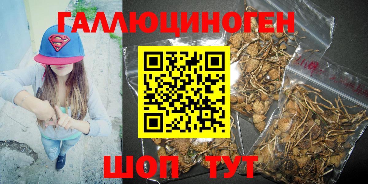 Псилоцибиновые грибы Psilocybe  Вход с VPN  купить наркотик  Новороссийск 