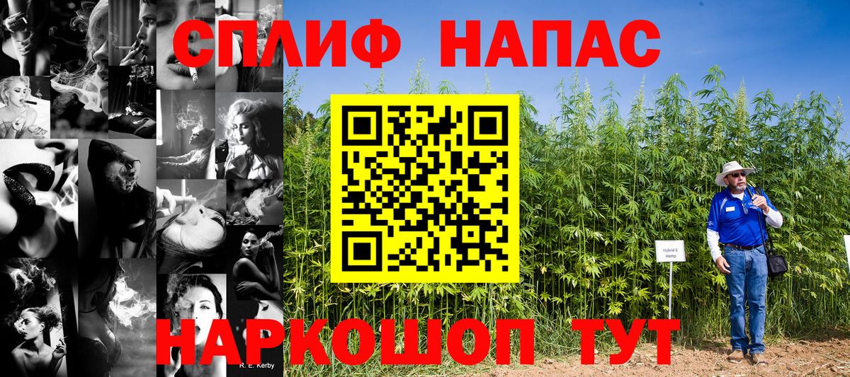 Марихуана  NBOMe  ГАШИШ  Где продают наркотики?  Новороссийск  Метадон  Меф   Вход с VPN  КОКАИН 